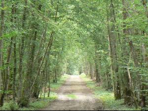 Circuit des vall�es et des bois
