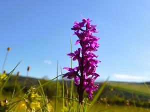 rando Auros  Abbaye du Rivet
