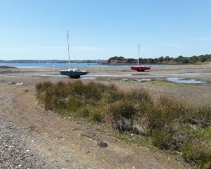 Ramasser des zu�tres sauvages 