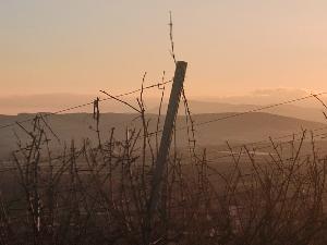 Randonn�e Wangenberg 