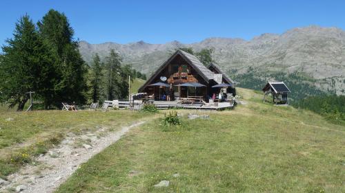 Chardonnet